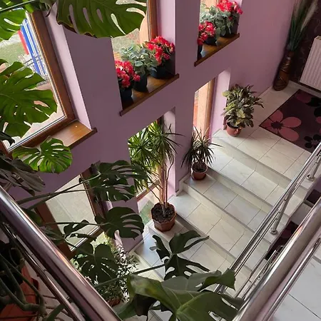 Pensiunea Viitorul Guest house