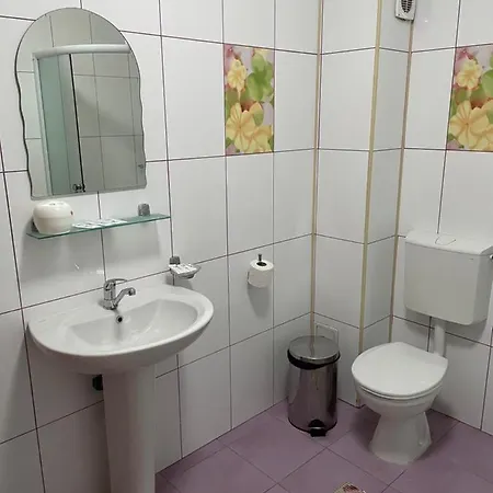 Pensiunea Viitorul Guest house
