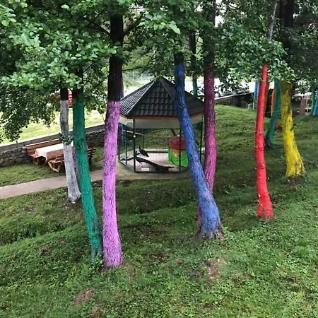 Pensiunea Viitorul Baia de Fier