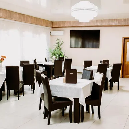 Guest house Pensiunea Viitorul