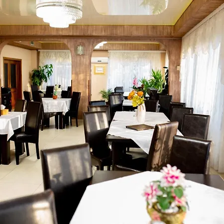Pensiunea Viitorul Guest house Baia de Fier