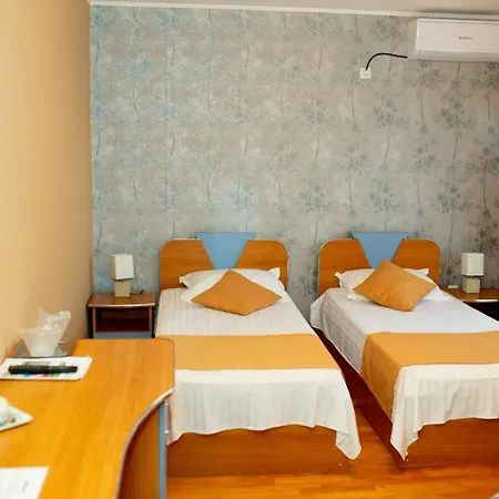 Pensiunea Viitorul Guest house 4*