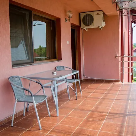 Guest house Pensiunea Viitorul